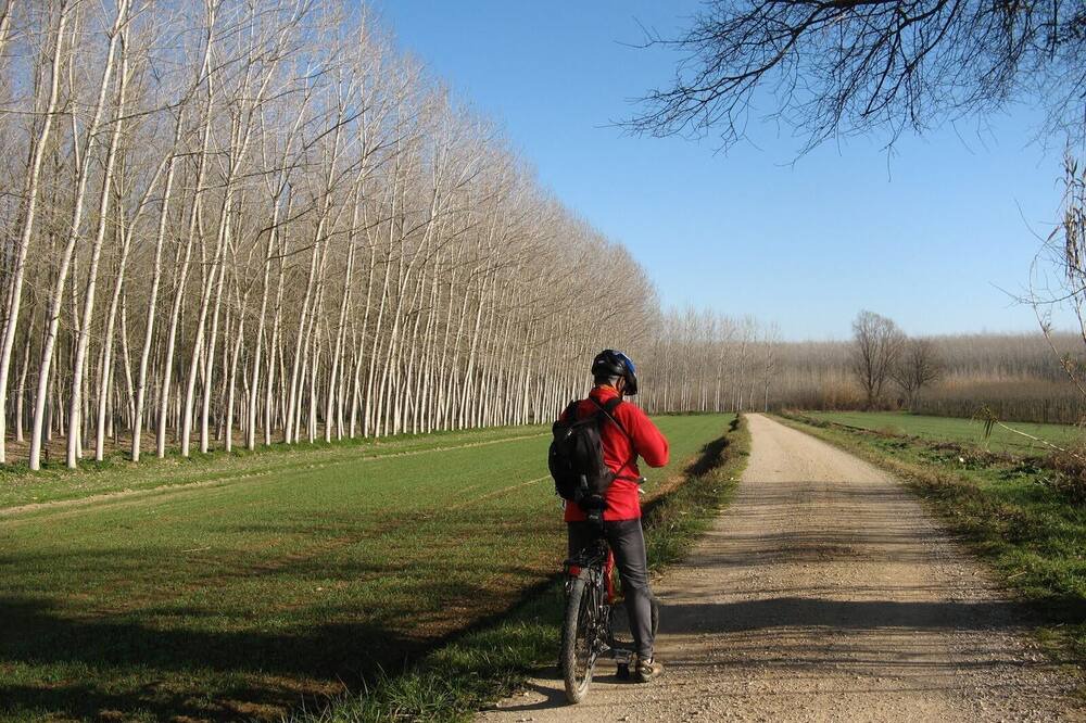 Photo of Others in Torroella de Montgri