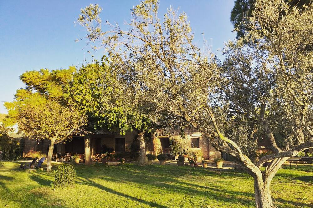 Photo of Outdoor in Torroella de Montgri