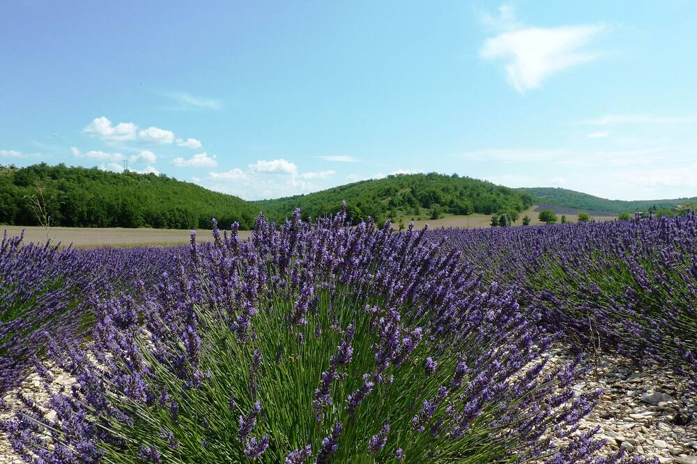 Photo of Outdoor in Aubenas-les-Alpes