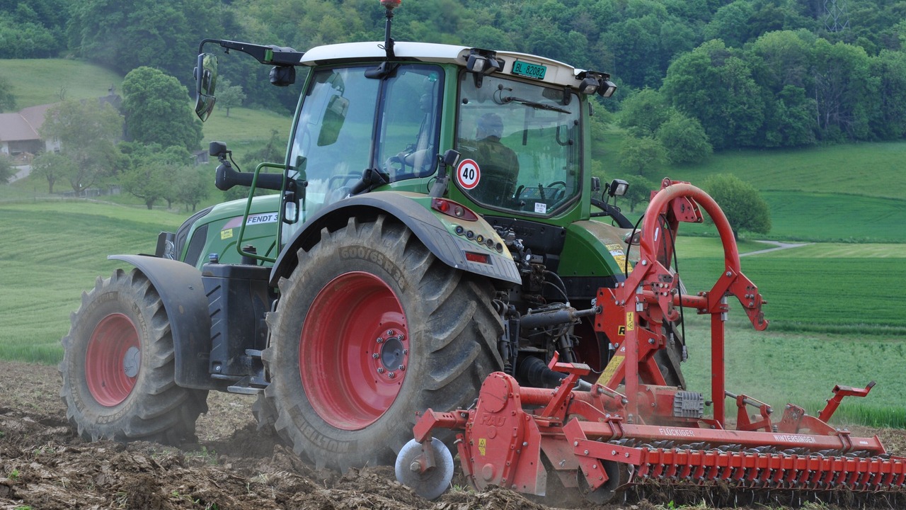 Photo of Others in Wintersingen