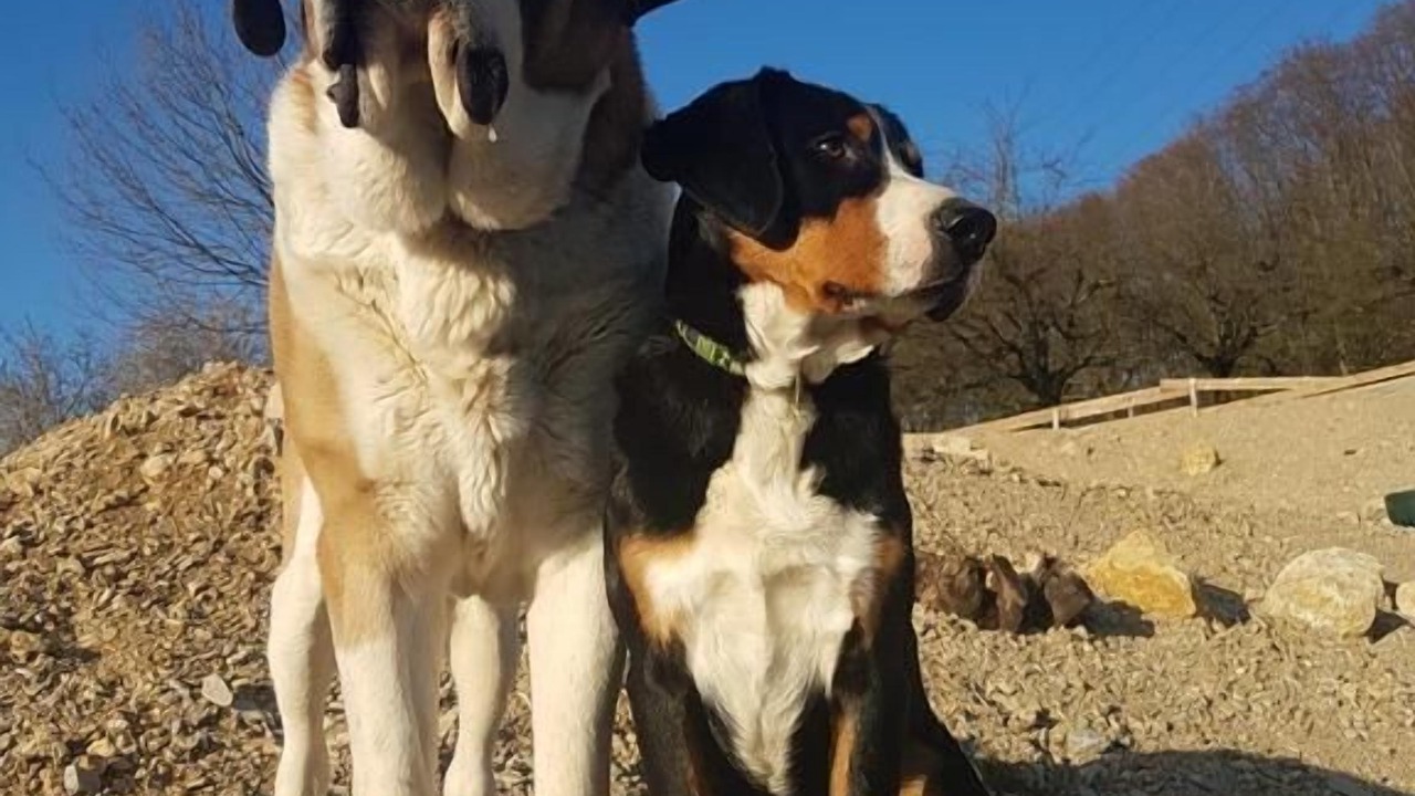 Photo of Others in Wintersingen