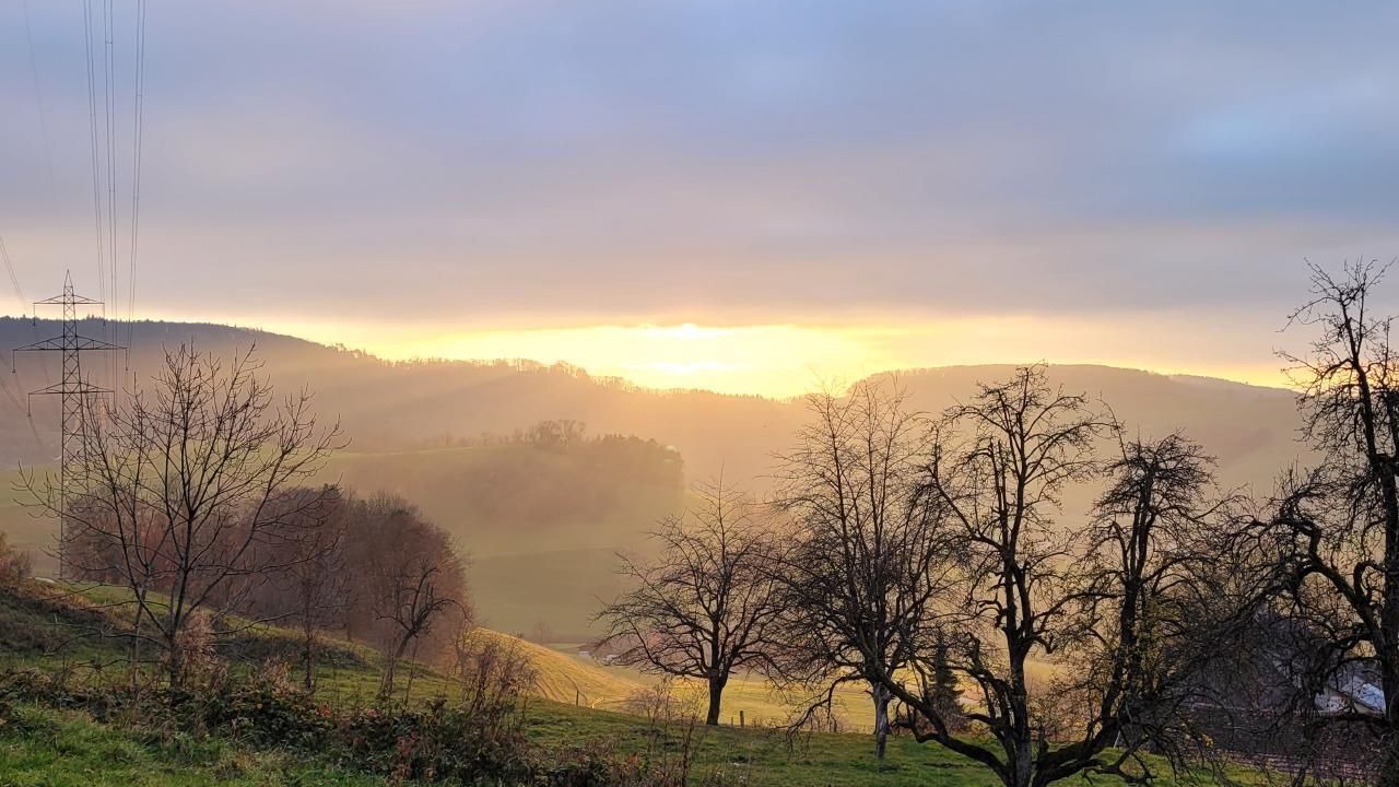 Photo of Others in Wintersingen