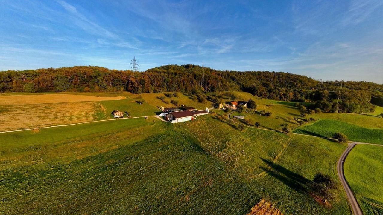 Photo of Outdoor in Wintersingen