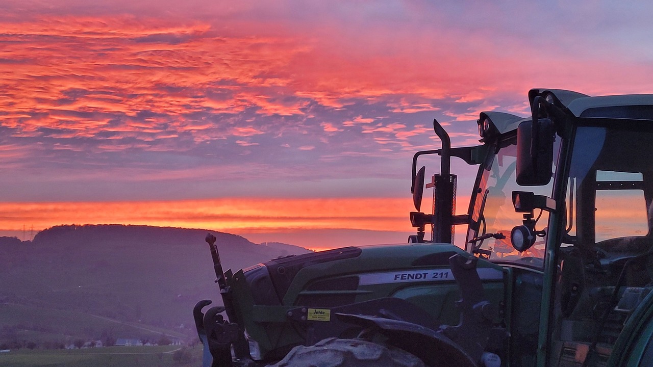 Photo of Others in Wintersingen