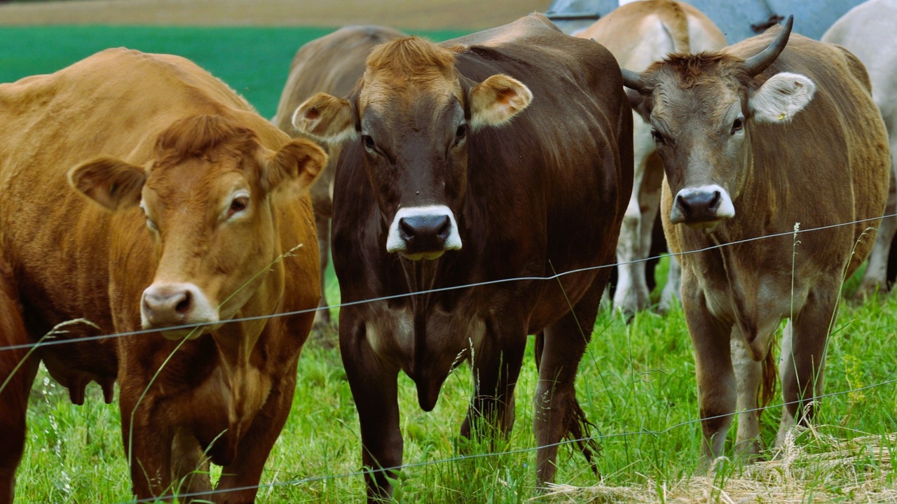 Photo of Others in Wintersingen