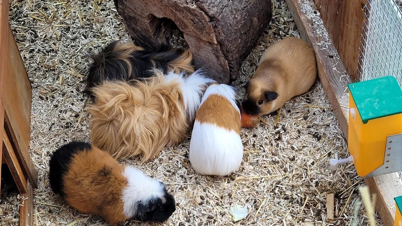 Photo of Others in Wintersingen