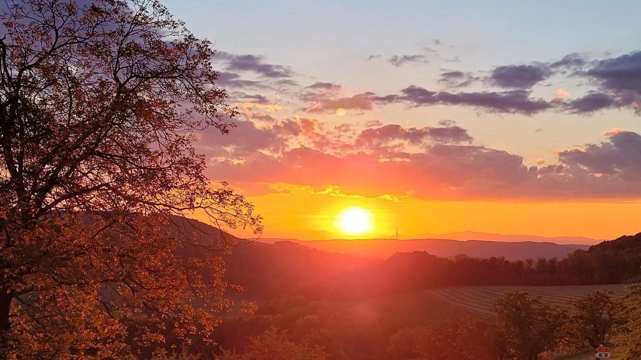 Photo of Others in Wintersingen