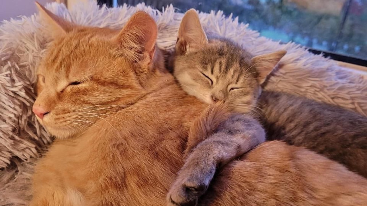 Photo of Others in Wintersingen