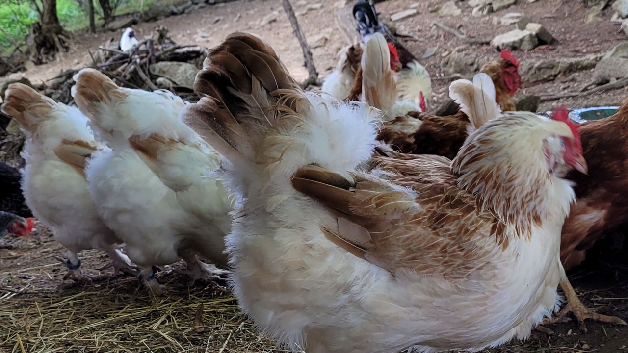 Photo of Others in Wintersingen