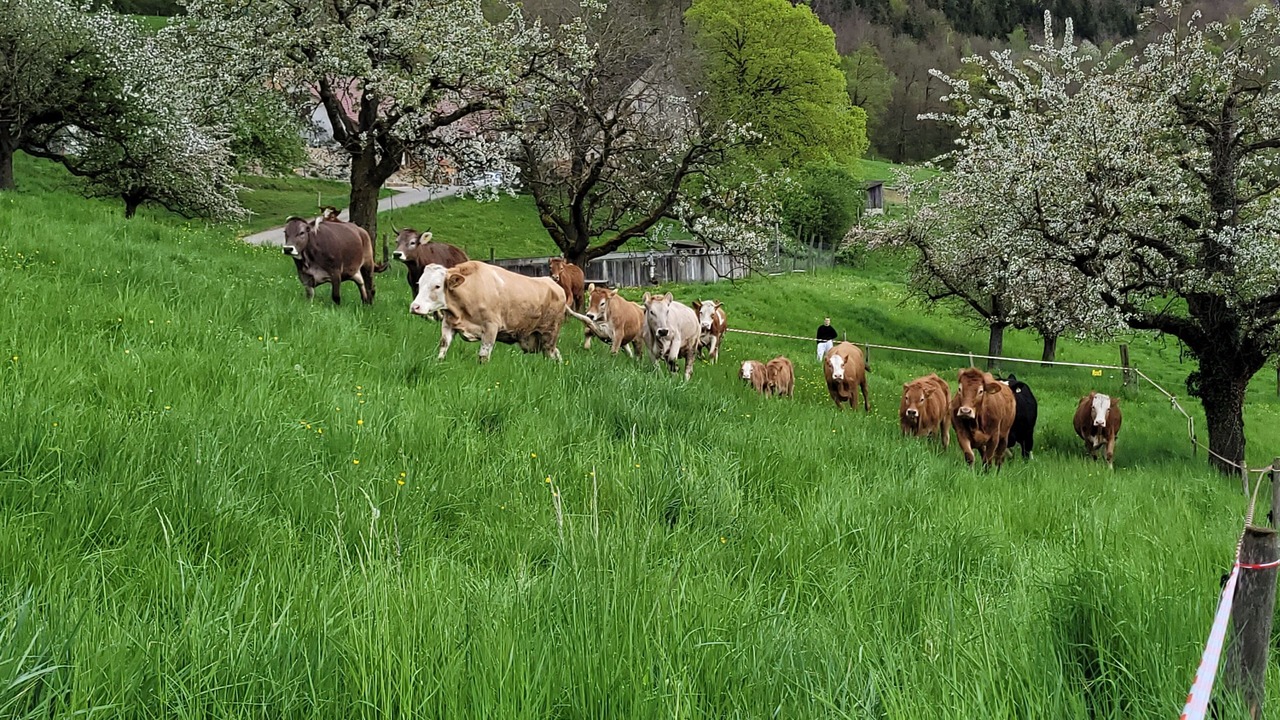 Photo of Others in Wintersingen