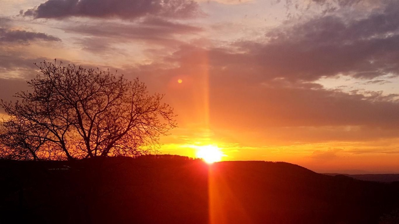 Photo of Others in Wintersingen