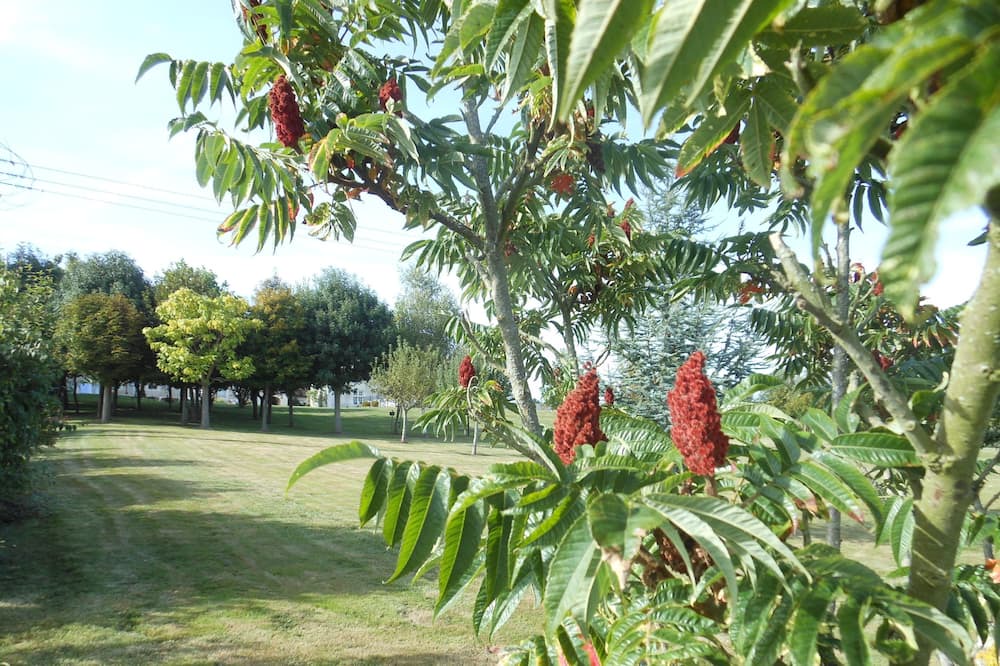 Photo of Outdoor in Loches