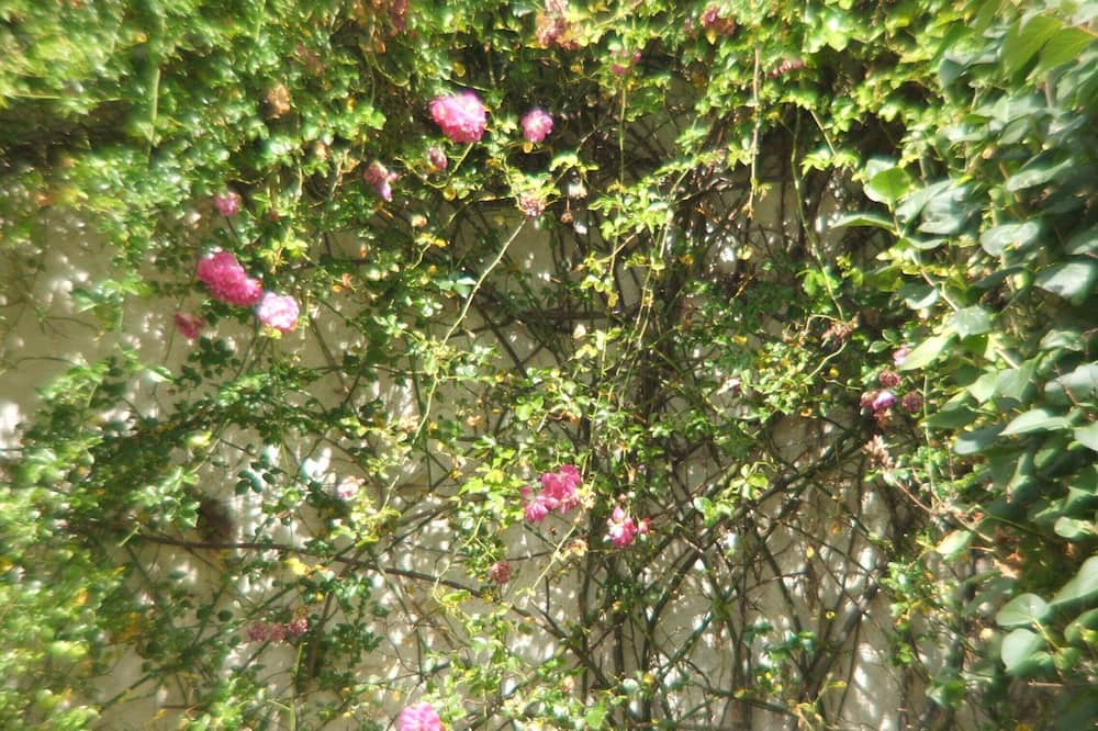 Photo of Outdoor in Loches
