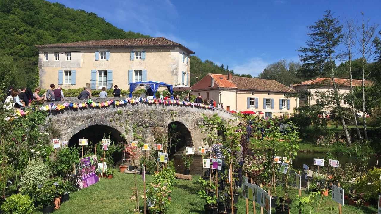 Photo of Outdoor in Saint-Jory-de-Chalais
