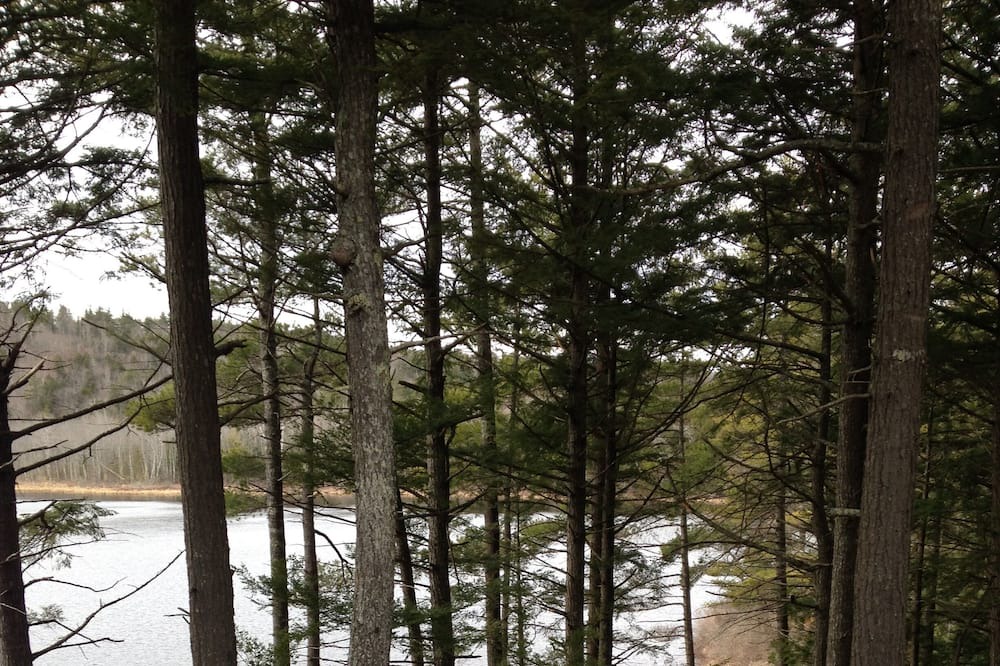 Photo of Outdoor in Palermo