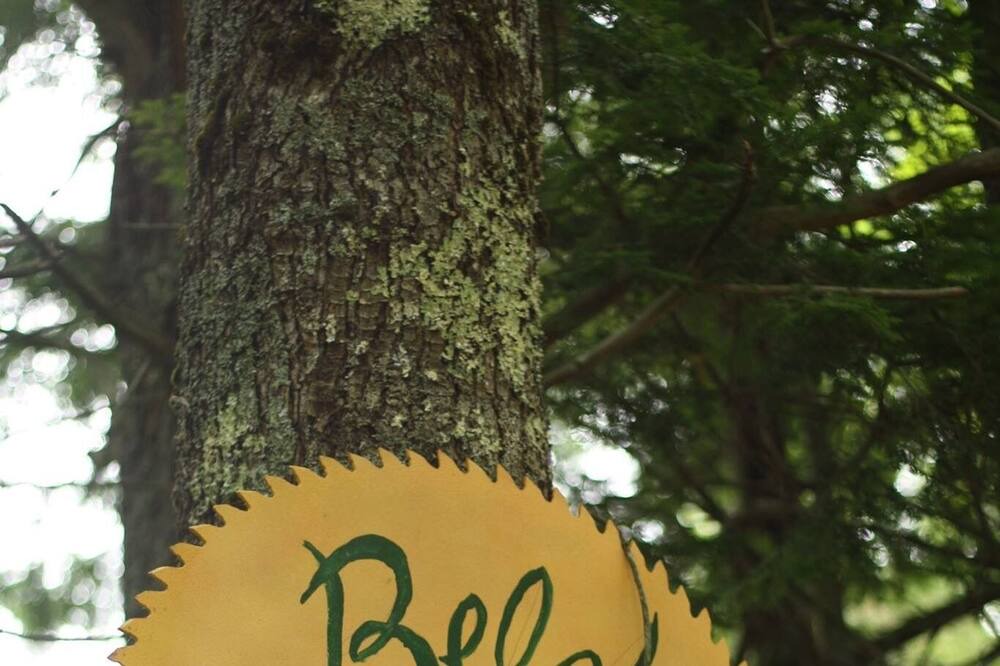 Photo of Outdoor in Palermo