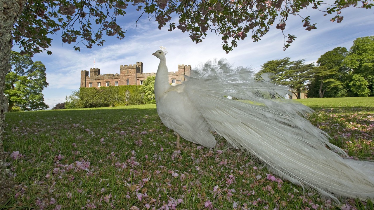 Photo of Outdoor in Perth