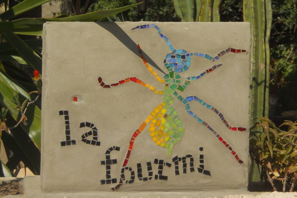 Photo of Others in Ile du Levant