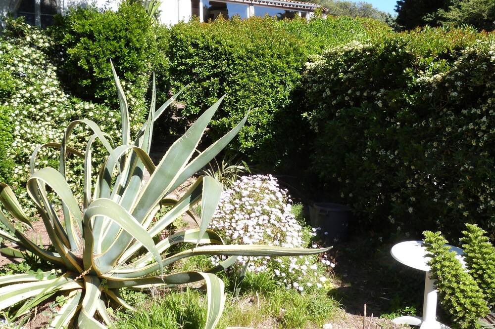 Photo of Outdoor in Ile du Levant