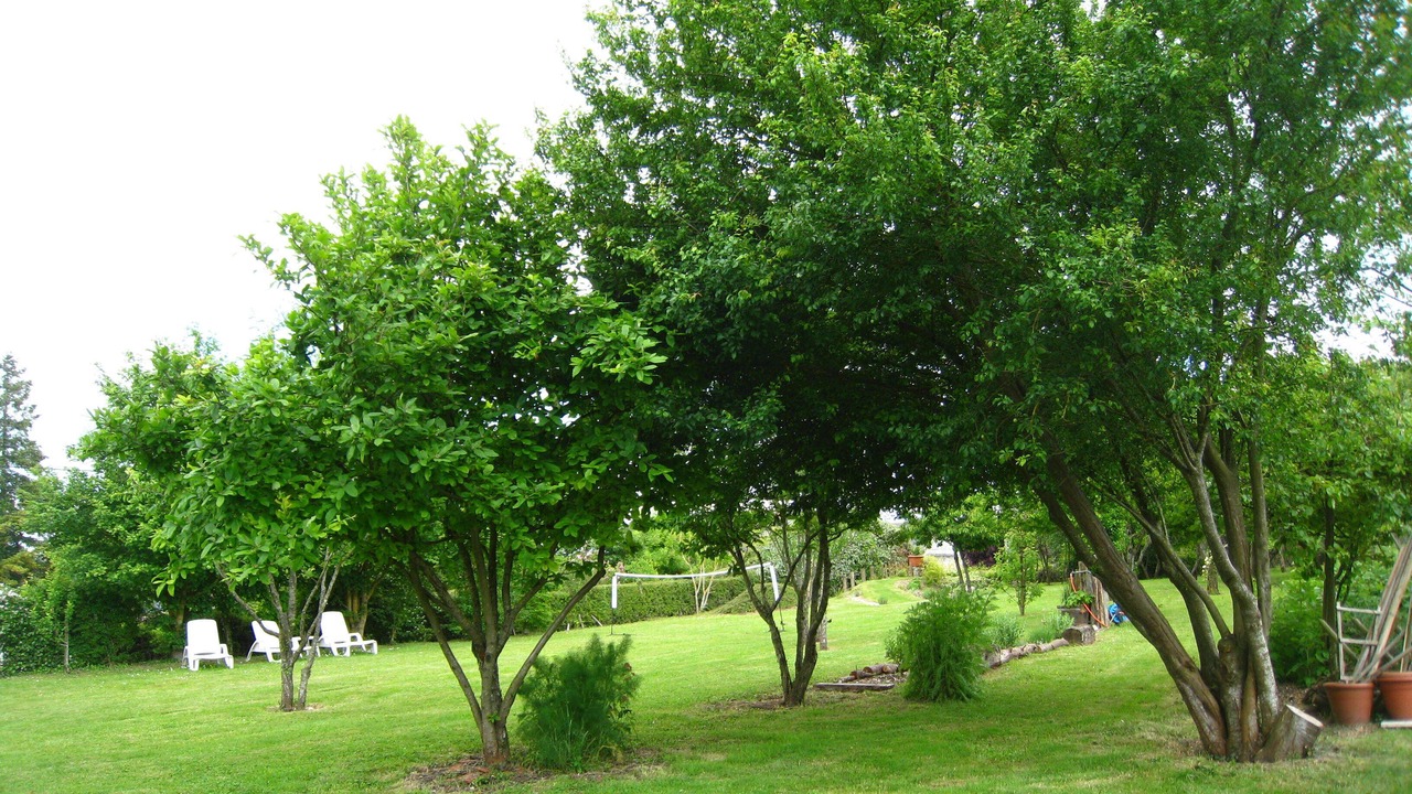 Photo of Outdoor in Brigne