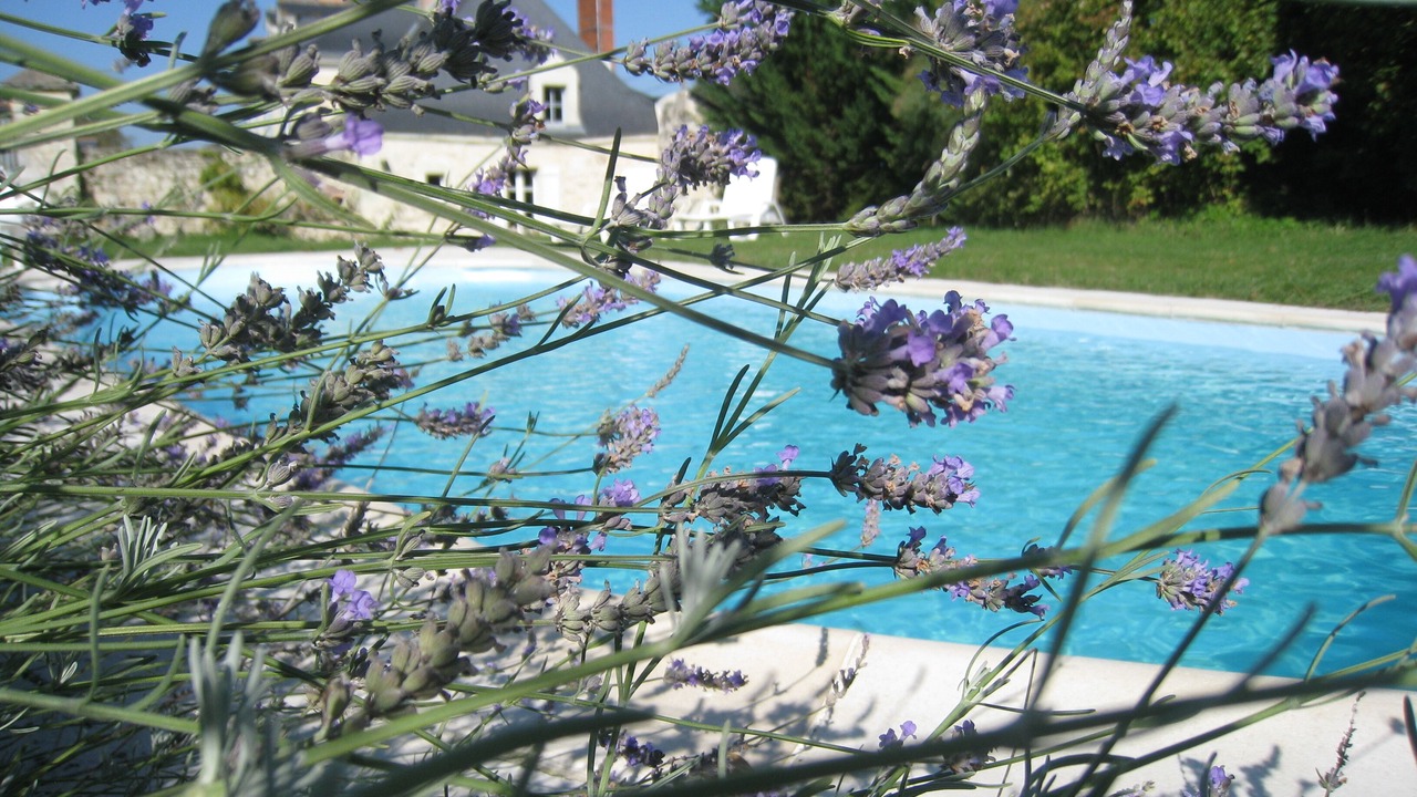 Photo of Outdoor in Brigne
