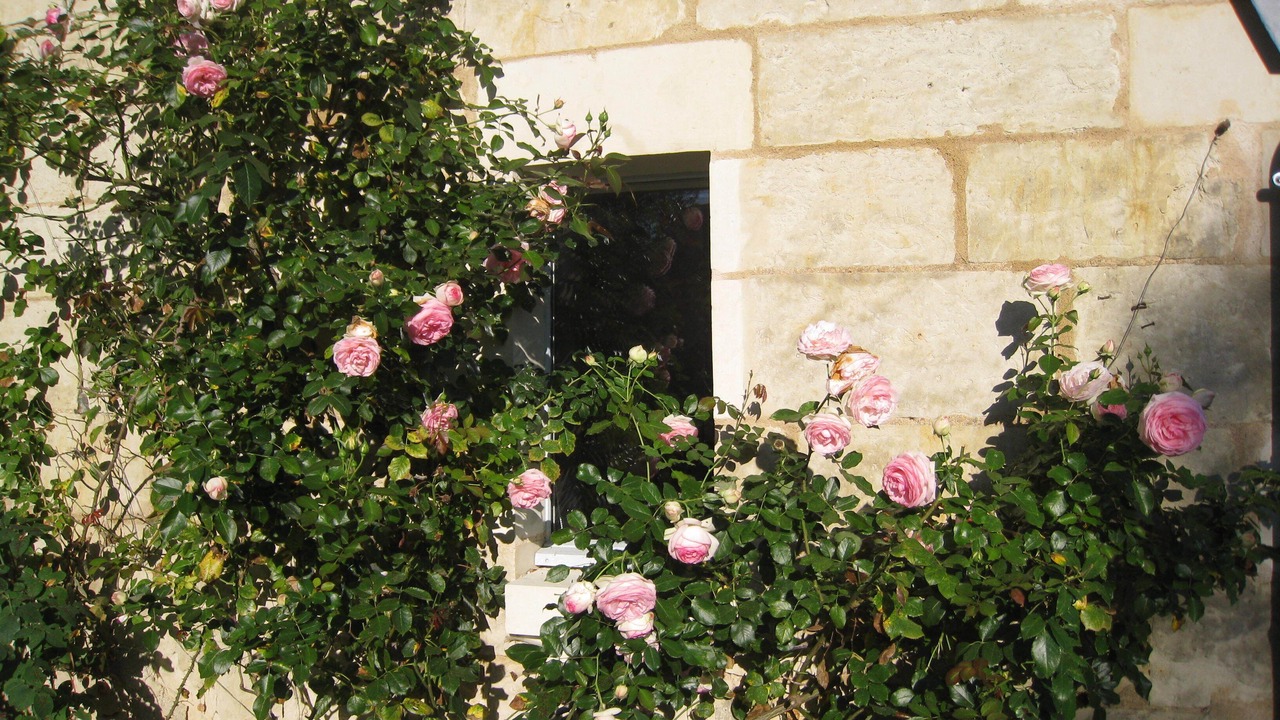 Photo of Outdoor in Brigne