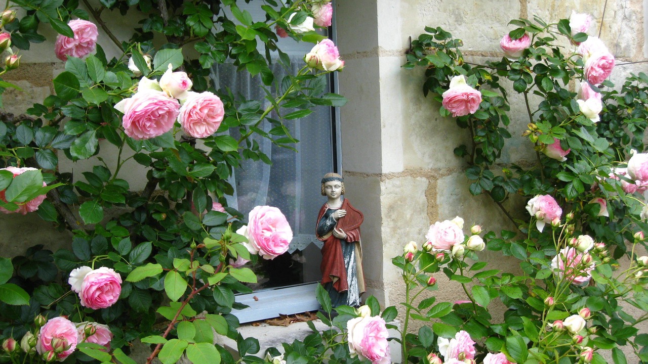 Photo of Outdoor in Brigne