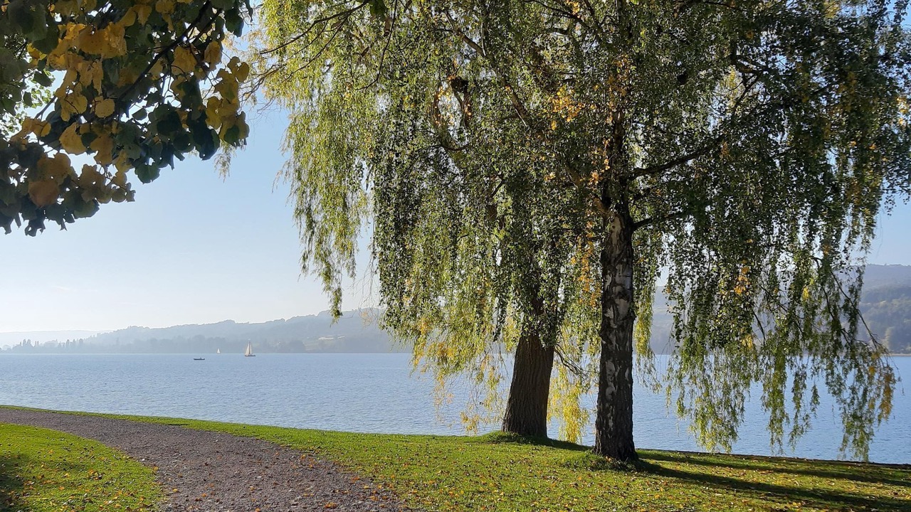 Photo of Others in Steckborn