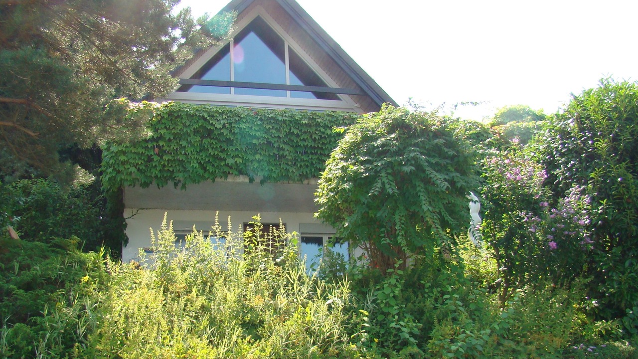 Photo of Outdoor in Steckborn