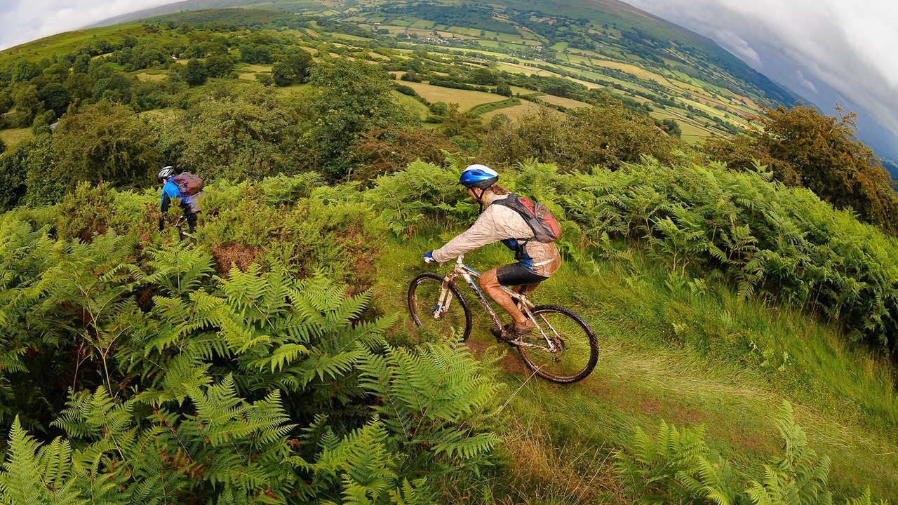 Photo of Others in Abergavenny