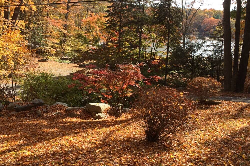 Photo of Others in Putnam Valley