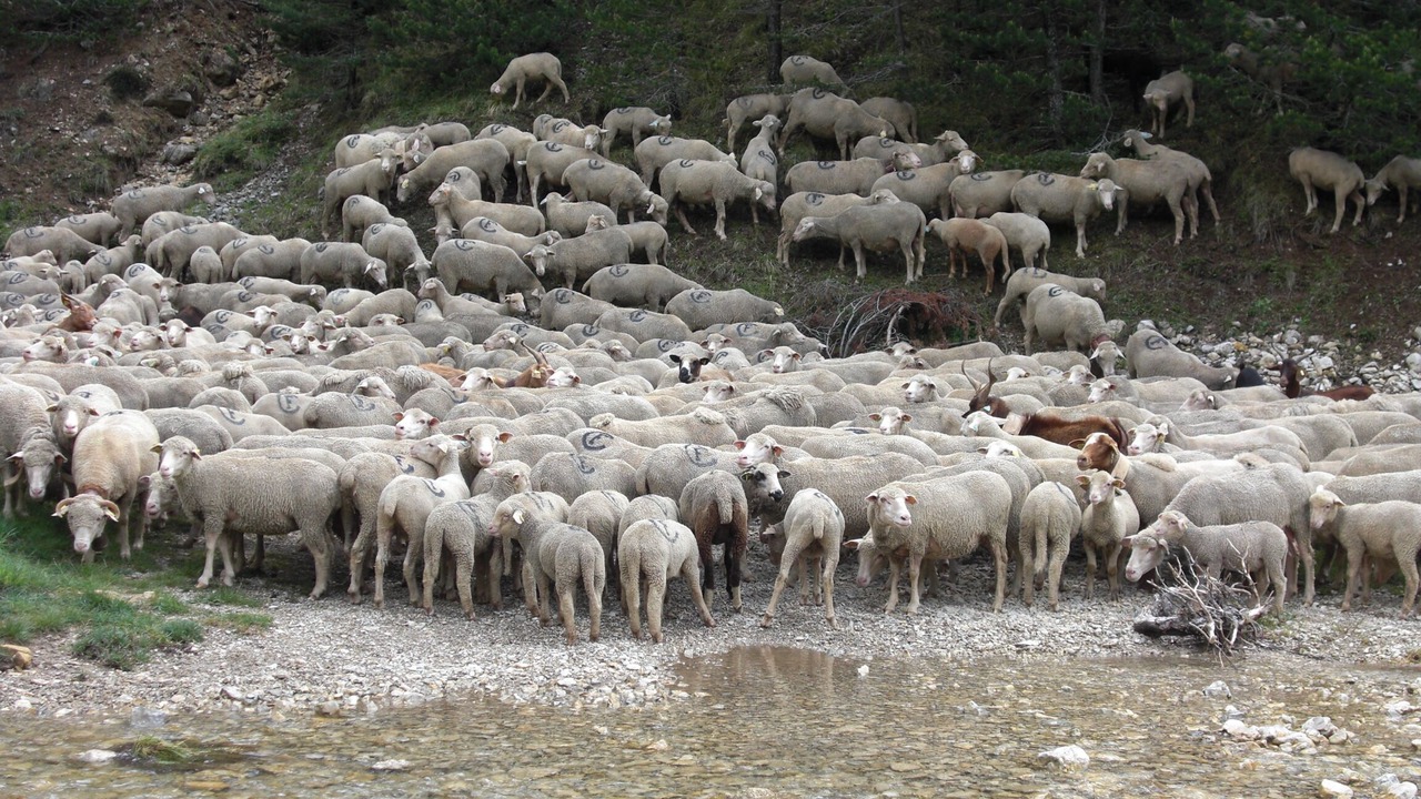Photo of Others in Chatillon-en-Diois