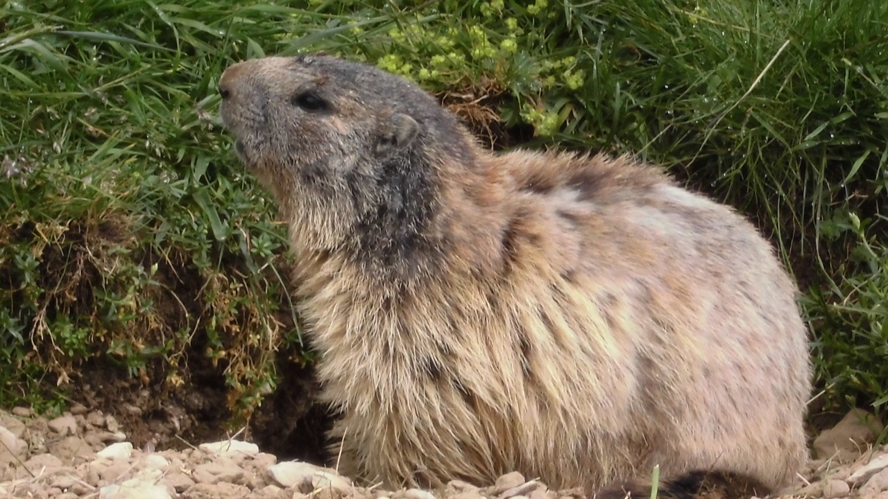 Photo of Outdoor in Chatillon-en-Diois