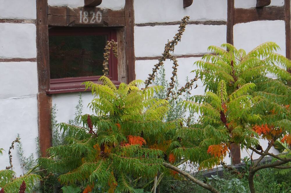 Photo of Outdoor in Toeufles