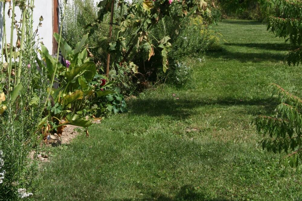 Photo of Outdoor in Toeufles