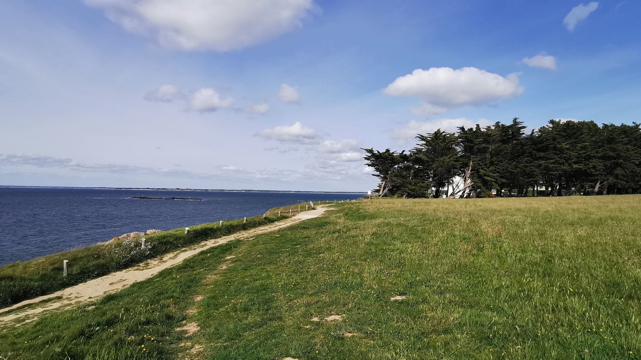 Photo of Others in Piriac-sur-Mer