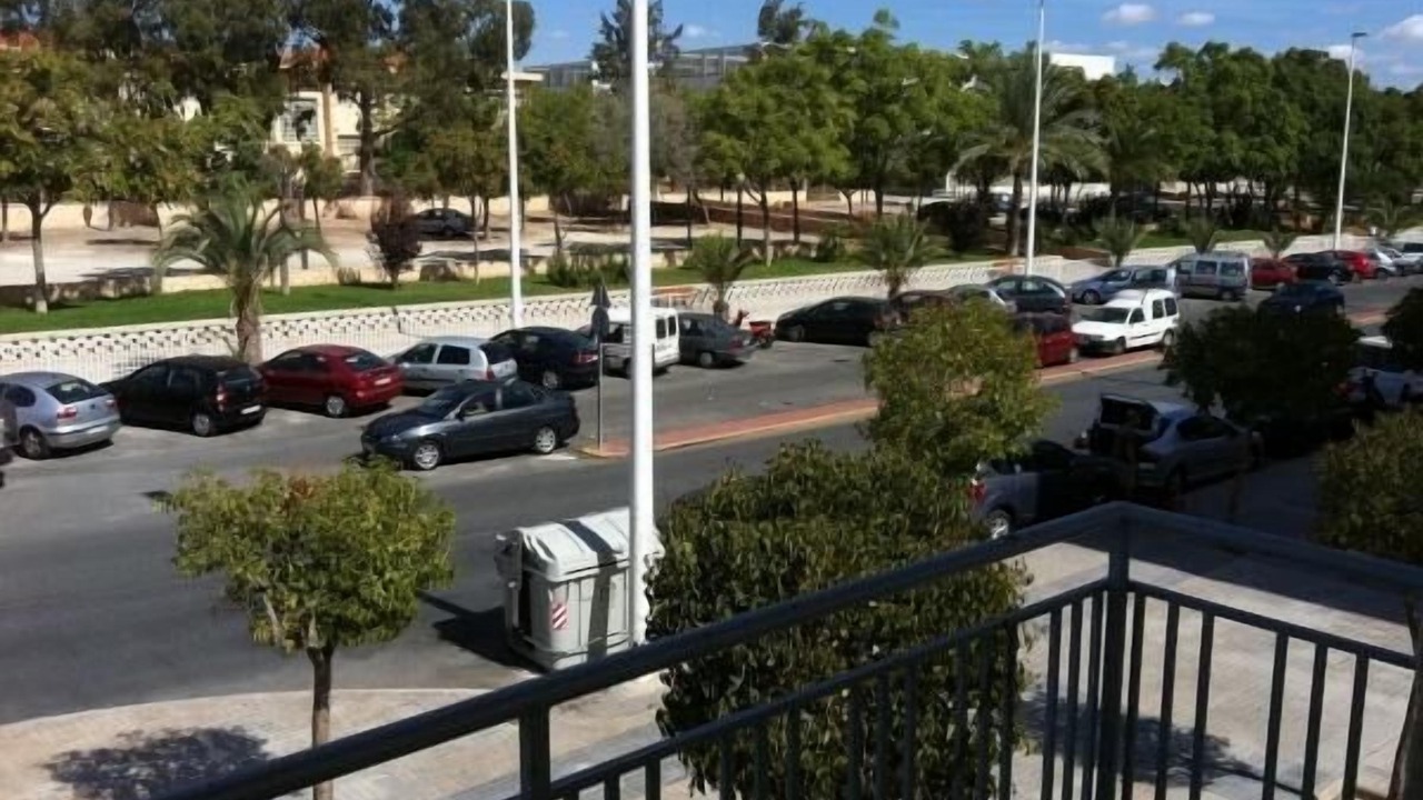 Photo of Outdoor in Elche