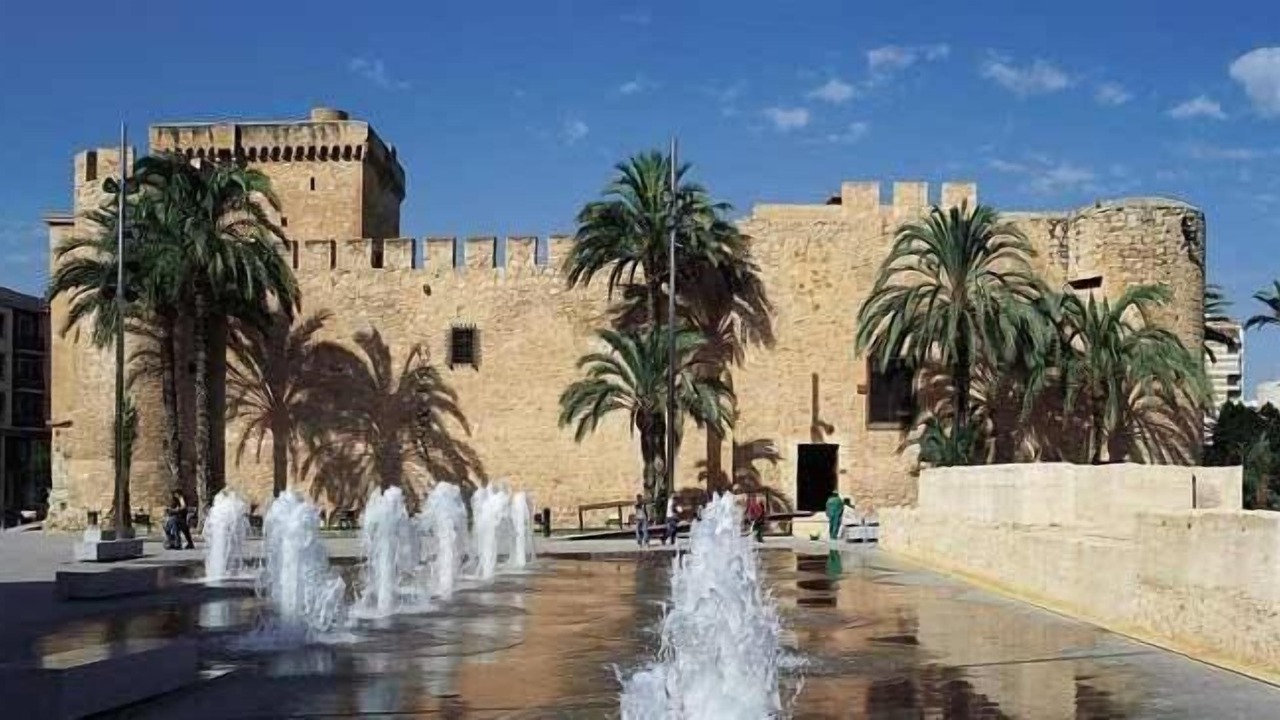 Photo of Others in Elche