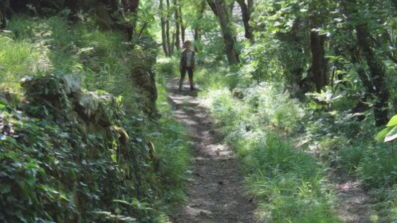 Photo of Outdoor in Camplong