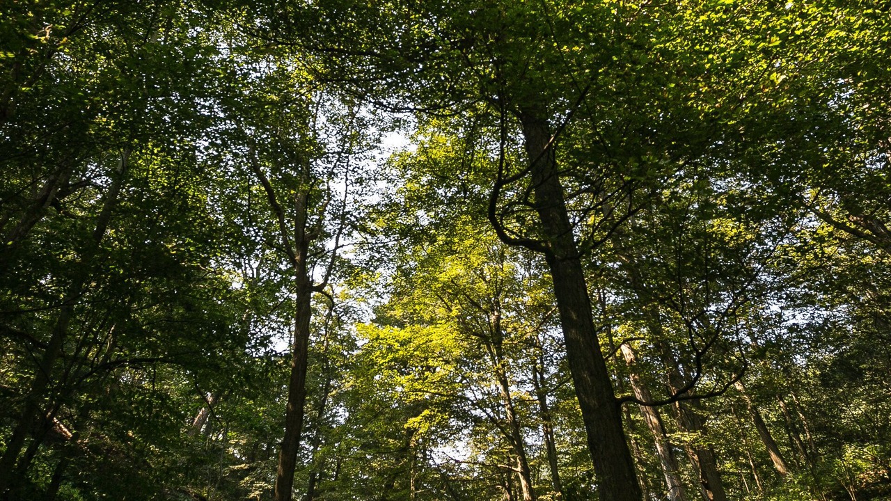 Photo of Outdoor in Point Abino