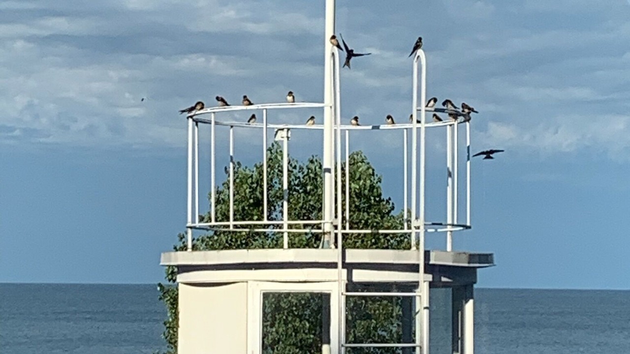 Photo of Outdoor in Point Abino