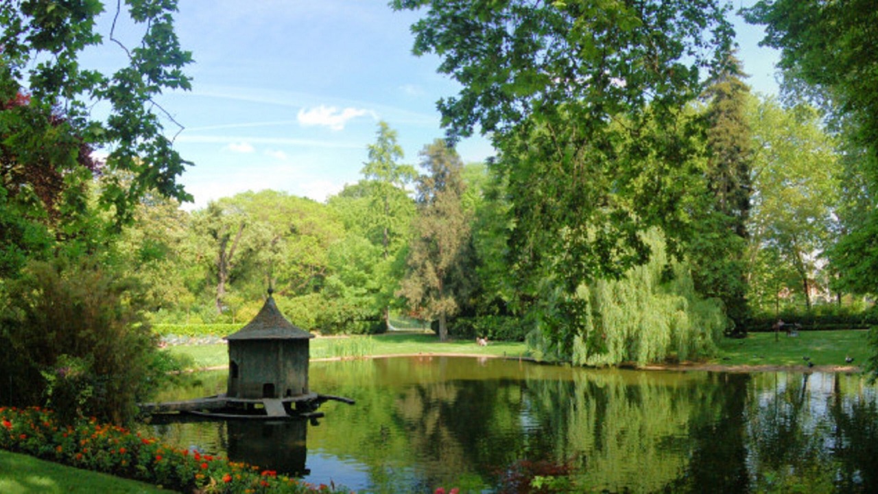 Photo of Outdoor in Patte d'Oie