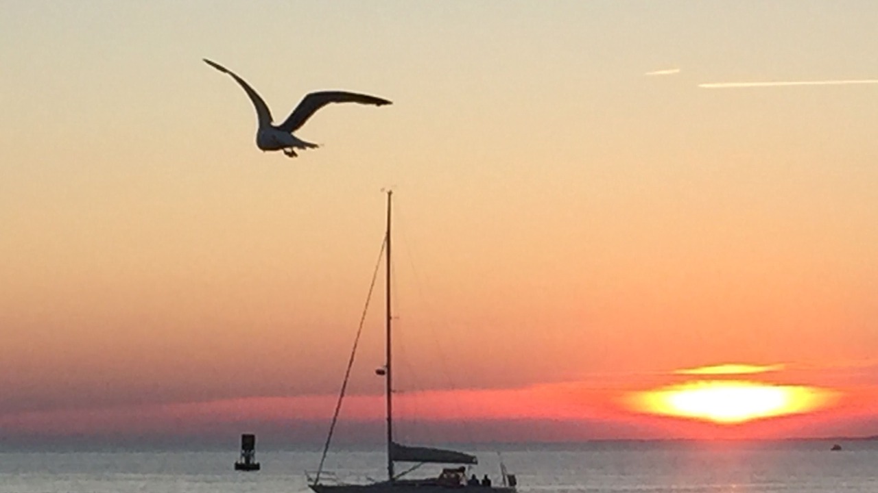 Photo of Others in Oak Bluffs