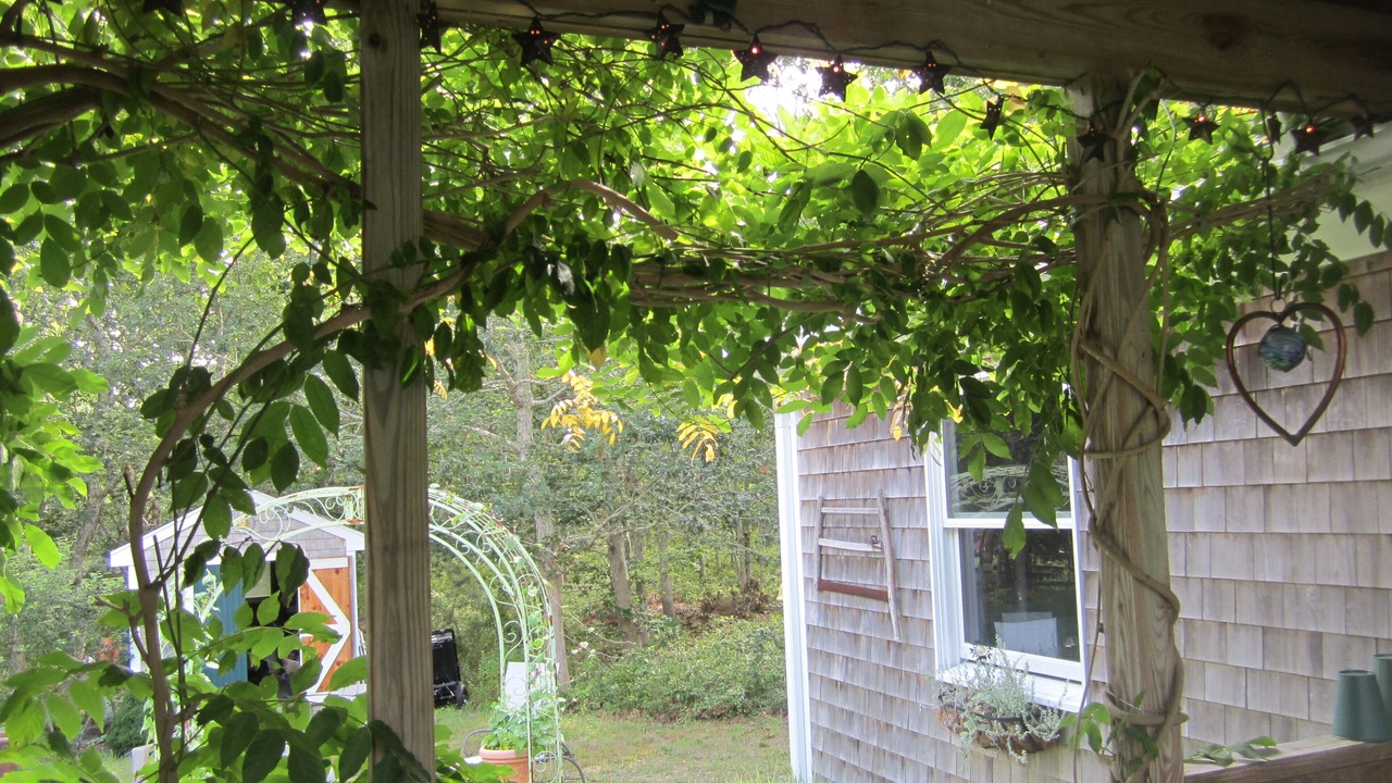 Photo of Outdoor in Oak Bluffs
