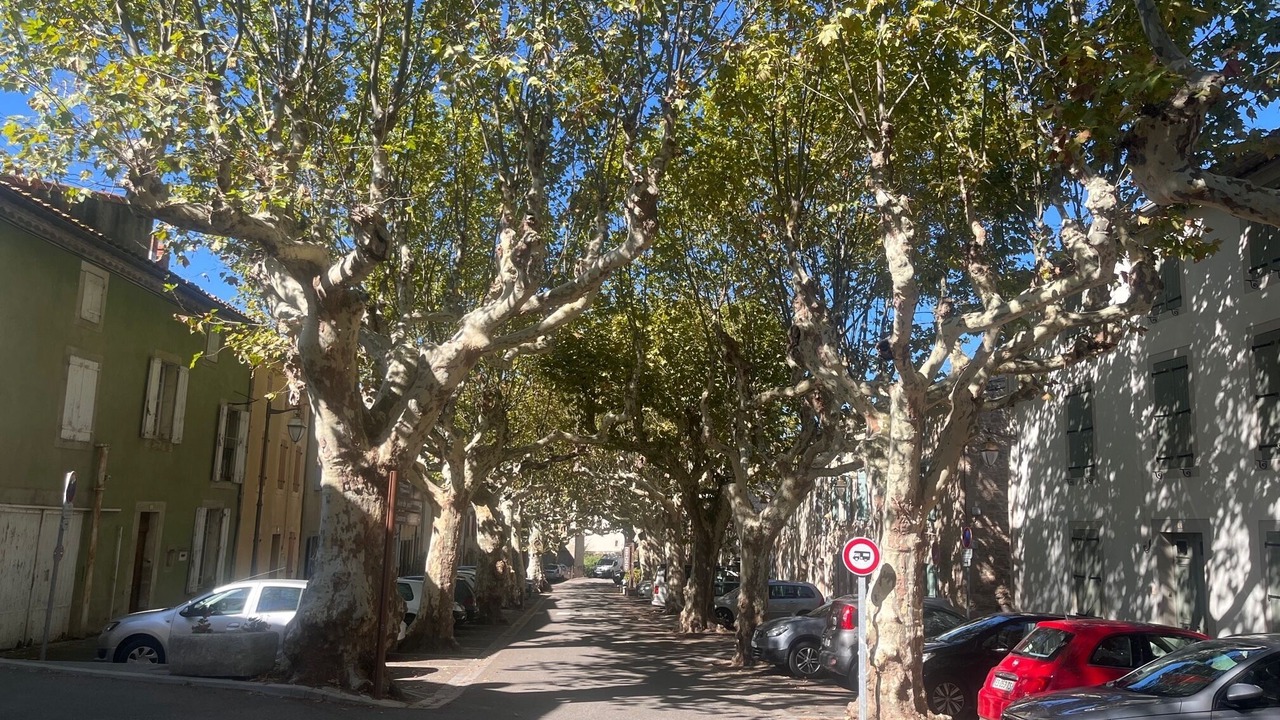 Photo of Outdoor in Villeneuve-Minervois