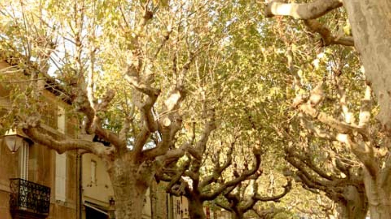 Photo of Outdoor in Villeneuve-Minervois