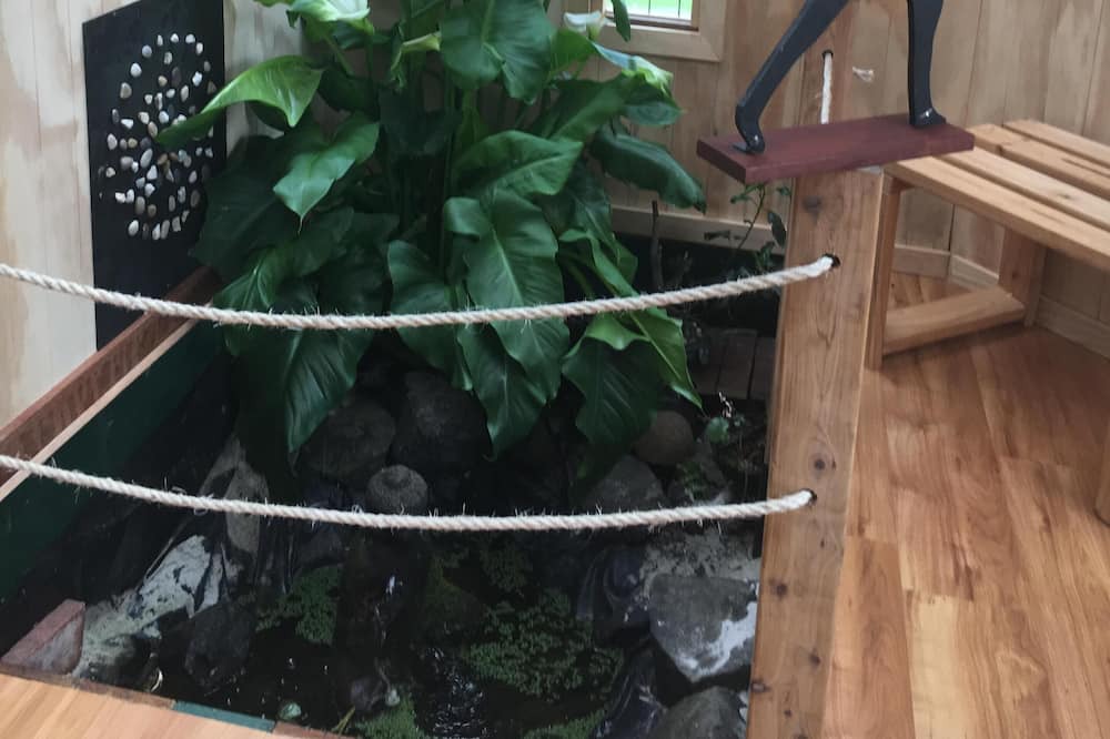 Photo of Others in Woolamai