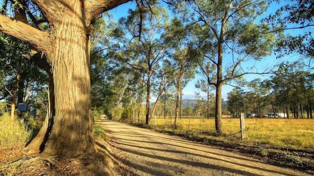 Photo of Outdoor in Quorrobolong