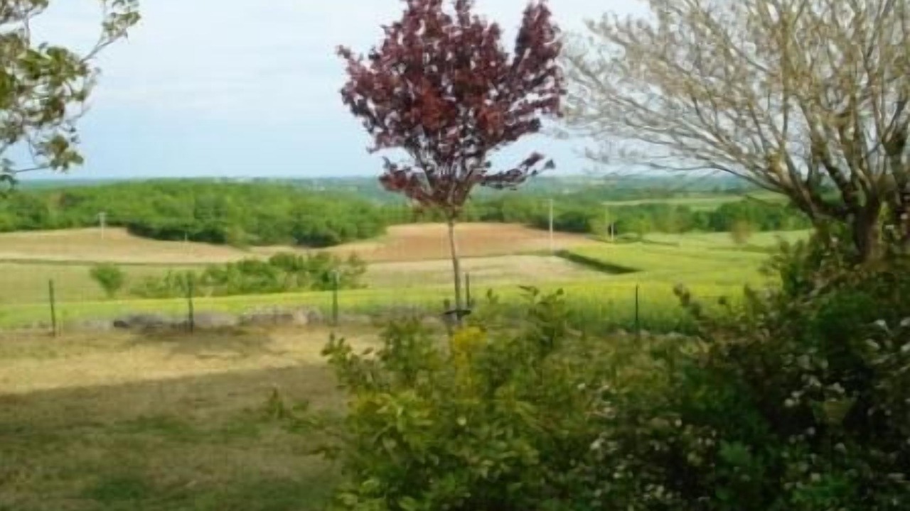 Photo of Others in Montaigu-de-Quercy