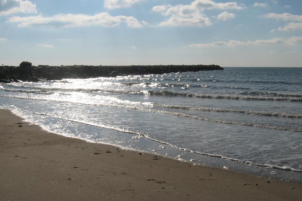 Photo of Others in Snug Harbor